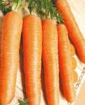 морковка Чукотский стиль  гибрид
