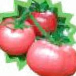 помидоры Пинки F1 гибрид