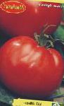 помидоры Икарус сорт