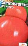 помидоры Севрюга сорт