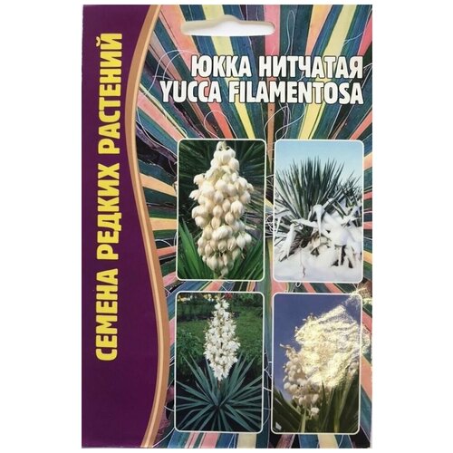  199    (Yucca filamentosa) (15 )