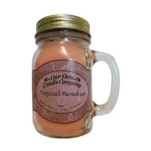  1690 Our Own Candle Company /        Island Paradise