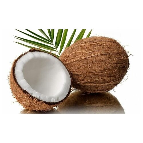  1430     (Coconut) 1 50. x 30.