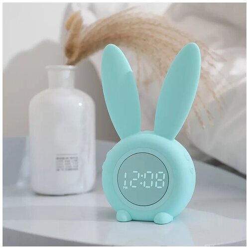  1600         - bunny,    ,  , 
