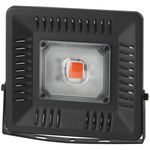  3611     FITO-50W-LED-BLUERED 0039033