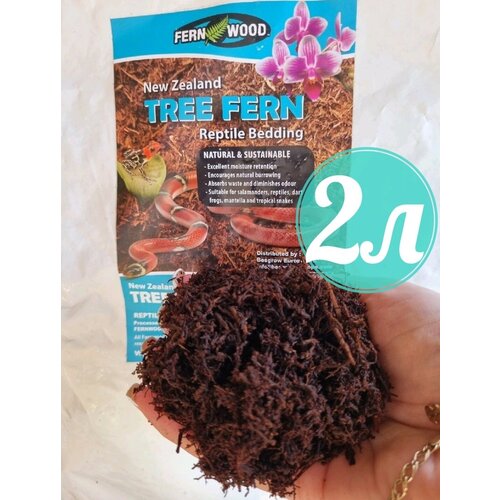  799 Tree Fern()       2,   