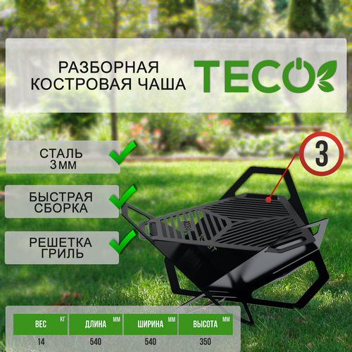  6650   -  TECO ()