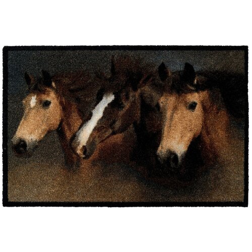  807 EMPIRE carpets international   DECO-UP    50x75   (23704_horses )