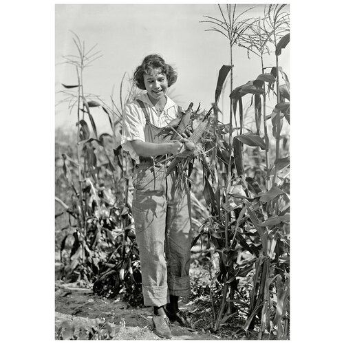  1290        (A woman in a field of corn) 30. x 43.