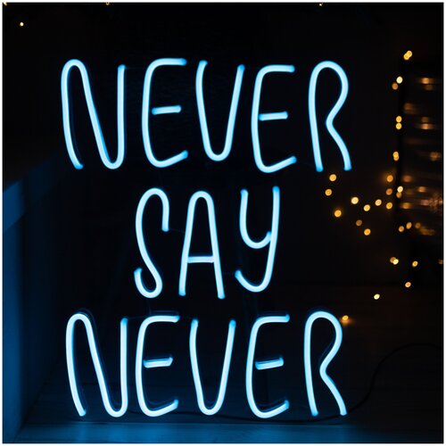  7850   never say never, 50x66 