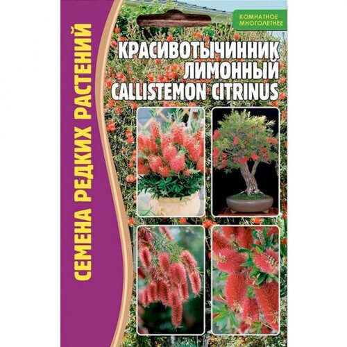     (Callistemon citrinus) (0,1 ),  210 