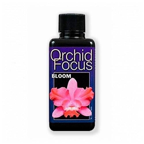 700    ( ) Orchid Focus Bloom 100 .