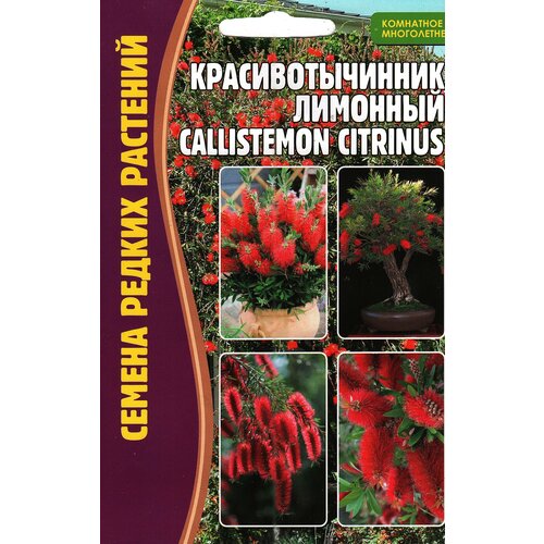  189   / CALLISTEMON CITRINUS,  ( 1 : 0,1  )