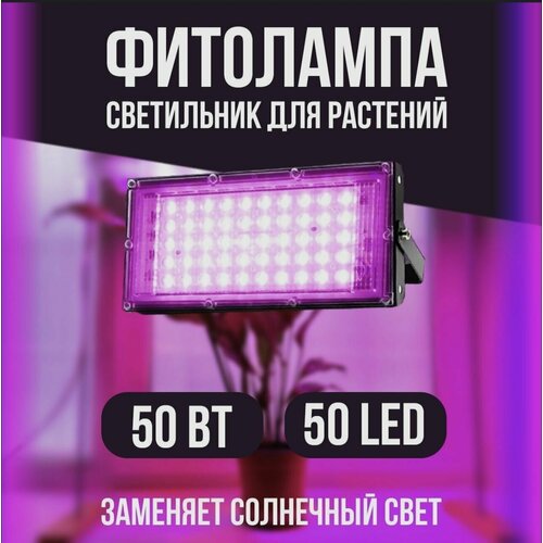  1190  50 .         ,  ,   LED   