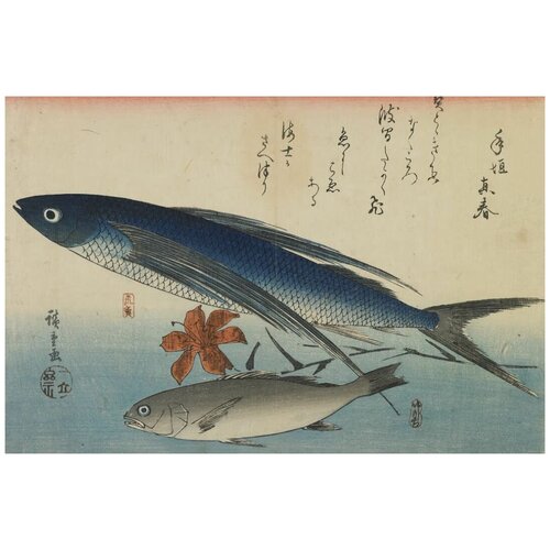  3540         (1840-1842) (Flying fish (tobiuo) and white croaker (ishimochi), from the second series of fish prints)   91. x 60.