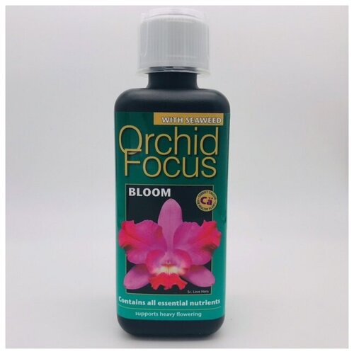  1450    Orchid Focus Bloom  300