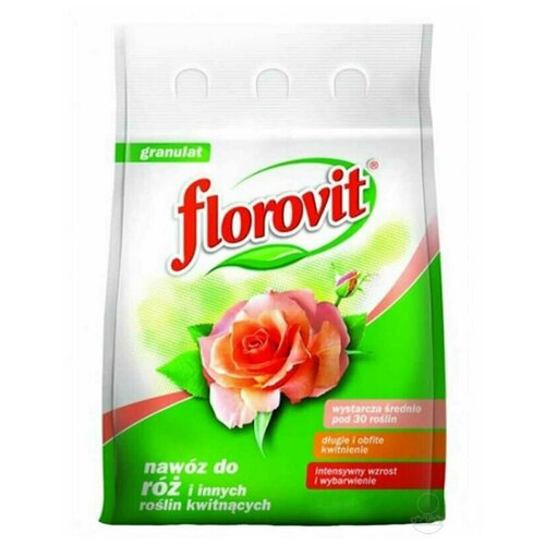  1141   Florovit,      ,  1  .
