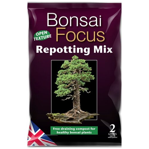  1250  Bonsai Focus Mix 2 