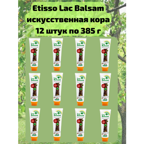  13110  12 .         ,   , 385 Etisso / Lac Balsam